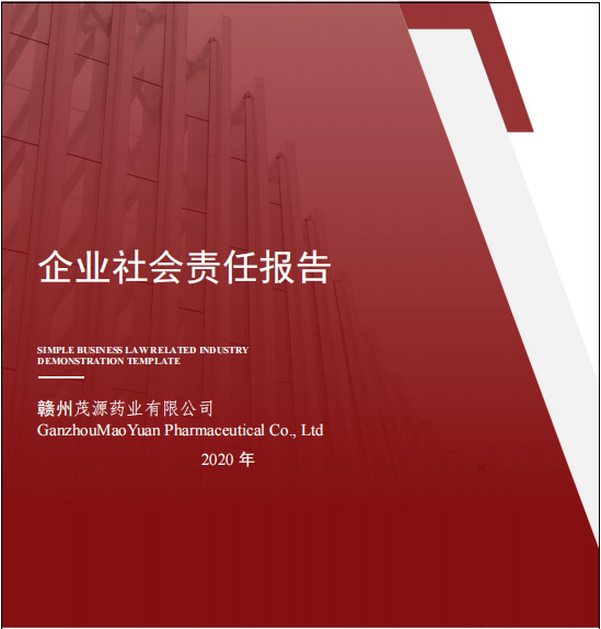 2020年社会责任报告